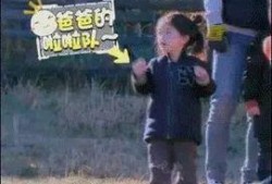 萌娃爆料老爸视频大全播放,老爸搞笑视频大全，笑点满满，温馨瞬间尽收眼底
