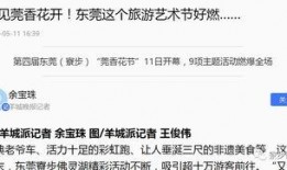 东莞新闻今日爆料,最新爆料揭示城市动态与热点事件