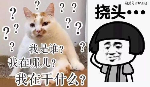 娱乐吃瓜酱专属梗图片